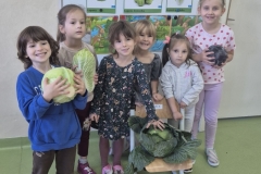 1. Na tle tablicy przedszkolnej stoi grupa 6 dzieci. Chłopiec z lewej strony, ubrany     w niebieską bluzę trzyma w dłoniach główkę zielonej kapusty. Stojąca obok dziewczynka trzyma kapustę pekińską. Dziewczynka stojąca po prawej stronie ma    w dłoniach kapustę  czerwoną. Przed nimi na krzesełku leży duża liściasta kapusta. Na tablicy za nimi widoczny czarny drukowany napis na białym tle: kapusta i plansze obrazkowe z różnymi kapustami.