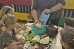 2. Przy stoliku przedszkolnym stoi pochylona nauczycielka. Szatkuje do niebieskiej miski ćwiartkę kapusty na małej szatkownicy. Obok na stole leżą pozostałe ćwiartki kapusty i stoi brązowa gliniana beczka. Dookoła stolika siedzą dzieci i obserwują wykonywaną czynność. W tle okna sali przedszkolnej.