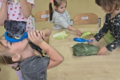 4. Przy stoliku przedszkolnym stoi czworo dzieci. Oglądają przez lupy liście kapusty zielonej, pekińskiej i czerwonej. Na krzesełku siedzi mała dziewczynka w szarej bluzie, sięga ręką po liść leżący na stole. W tle widoczne szafki przedszkolne i ustawione na nich pojemniki z klockami.