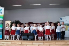 Zdjęcie przedstawia grupę dzieci. Stoją w dwóch rzędach, ubrane w kolorowe stroje.