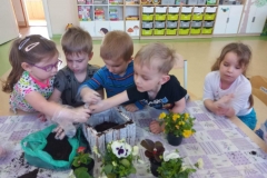 Pięcioro dzieci siedzi przy stoliku. Przed nimi jest doniczka, worek z ziemią oraz kwiatki. Dzieci wsypują ziemię do doniczki.