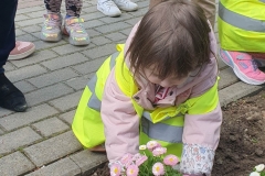 Dziewczynka ma w rękach kwiat,  który wkłada do ziemi.