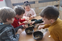 Przy stoliku przedszkolnym siedzi pięcioro dzieci: trzech chłopców, jedna dziewczynka a kolejnemu dziecku widać tylko dłonie. Na stoliku znajdują się cztery szare, kwadratowe pojemniki, w których są żółte monety. Część monet rozsypanych jest na stole. Dzieci segregują je do pojemników wg odpowiednich nominałów.