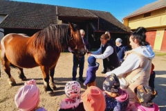 Na środku podwórka stoi klacz o brązowym ubarwieniu z długą czarną grzywą. Pani w niebieskim dresie i czarnej kamizelce wyciąga do niej rękę. Obok niej stoją dzieci oraz pani w beżowej kamizelce. W tle drewniana stodoła.