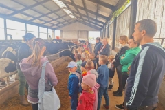 Grupa dzieci ustawiona bokiem stoi w oborze. Wśród nich 6 pań i 1 pan. Przed nimi za metalowymi barierkami krowy: czarne, czarno- białe, brązowe. Część z nich wystawia głowę za barierki i je paszę.