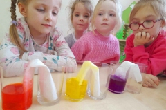 3 dziewczynki I chłopczyk obserwują co dzieje się z ręcznikami papierowymi zanurzonymi w zabarwionej wodzie.