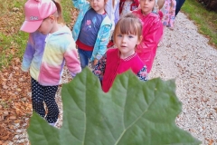 Po leśnej dróżce wysypanej szarymi kamieniami idą dzieci para za parą. W pierwszych 2 parach dziewczynki, za nimi reszta grupy. Obok dzieci idą pani w szarej bluzie i pan w granatowej. Z tyłu 4 panie. Po obydwu stronach drogi rosną drzewa.