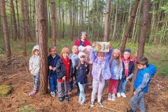 Dzieci chodzą po lesie między drzewami. Zbierają leśnej skarby: szyszki, liście, żołędzie. Szukają prezentu- niespodzianki. Pod ich nogami zeschnięte liście, patyki, gałązki.