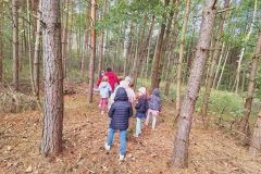 Dzieci wędrują pomiędzy drzewami po zeschniętych liściach,  galazkach i trawach w poszukiwaniu skarbu.