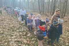 Duża grupa dzieci idzie w parach. Ubrane  w kolorowe kurtki i czapki. Na ziemi leżą brązowe liście,  w oddali drzewa.  