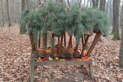 Na ziemi pokrytej suchymi liśćmi stoi paśnik. Na dachu leżą zielone gałęzie sosny. Wewnątrz paśnika ułożone są  pomarańczowe marchewki,  czerwone i zielone jabłka, kapusta, kukurydza oraz brązowe ziemniaki.