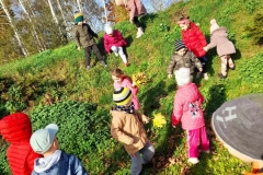 Grupa dzieci zbiera jesienne liście.