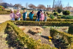 Kilkoro dzieci ogląda krokusy w ogrodzie.