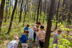 Grupa dzieci obserwuje ptaki w lesie.