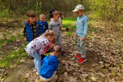 Grupa dzieci obserwuje prace mrówek w lesie.