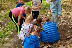 Grupa dzieci obserwuje pracę mrówek w lesie.