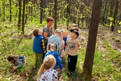 Grupa dzieci obserwuje roślinność w lesie.