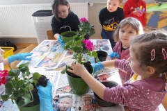 Przy stoliku przedszkolnym widać trzy siedzące dziewczynki oraz dłonie dwójki innych dzieci. Każde z dzieci ma nałożoną jedną niebieską gumową rękawiczkę. Przy ich pomocy nasypują ziemię do zielonych doniczek i sadzą różowe pelargonie.