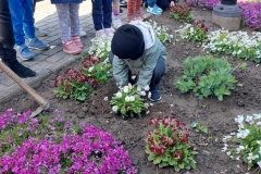 Dzieci stoją na chodniku z szarej kostki brukowej. Jeden chłopczyk wkłada do ziemi krzaczek białych stokrotek. Obok niego kolorowe kwiaty.