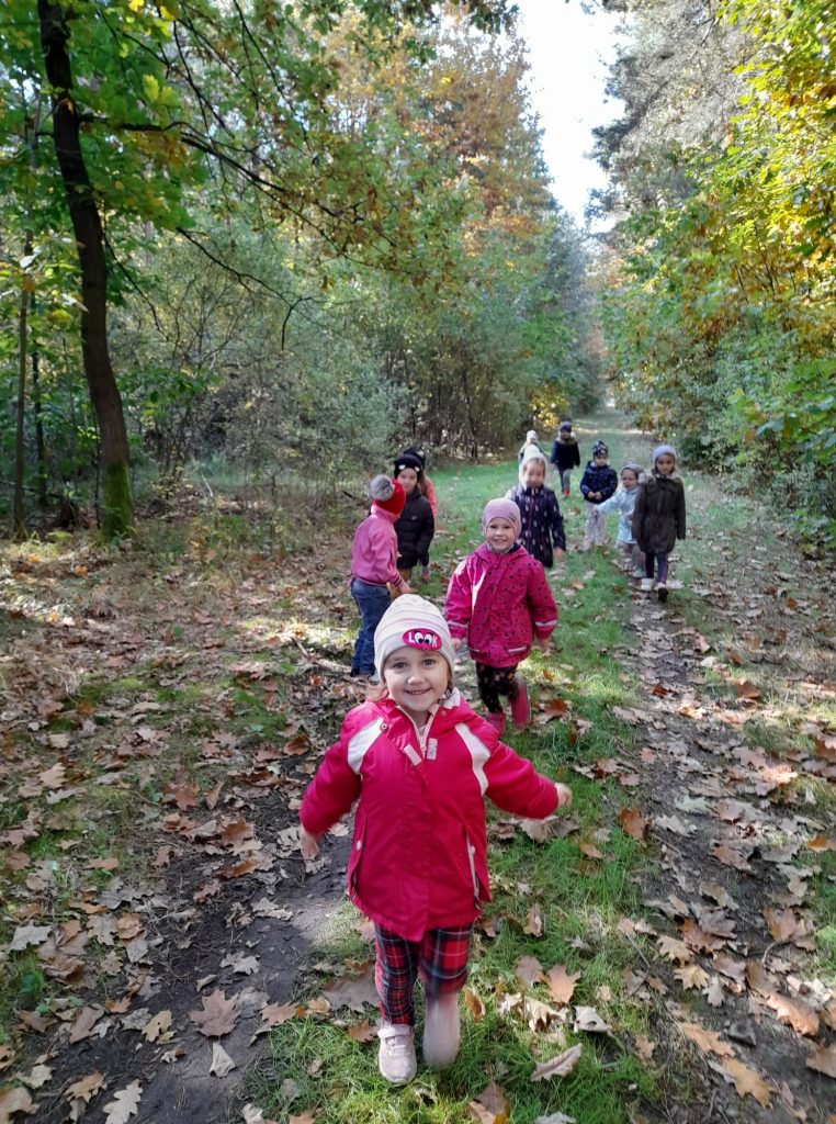 Grupa dzieci spaceruje po leśnej ścieżce, dzieci rozglądają się dookoła, podziwiają kolory lasu. Są wesołe i uśmiechnięte. W tle widać kolorowy, jesienny łaś.