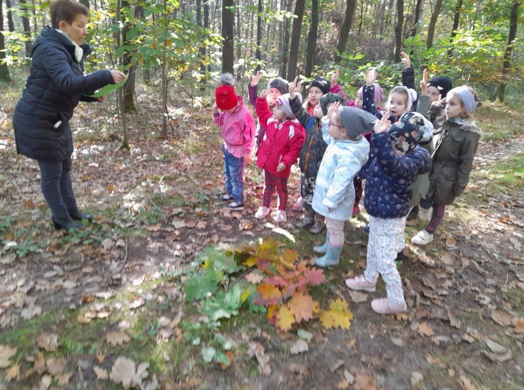 Grupa dzieci stoi wśród kolorowych liści w lesie, podnoszą prawa rękę do góry i obiecują że będą szanować łaś. Obok dzieci stoi Pani trzyma w ręku zielona kartkę na której są napisane przyrzeczenia.