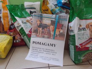 1. Na podłodze stoją ustawione opakowania suchej karmy dla psów i kotów. Przed nimi widoczna jest plansza przedstawiająca dwa psy w boksie schroniska oraz napisaną drukowanymi literami prośbę do rodziców. Treść prośby:
,, Pomagamy. Przedszkolaki prowadzą zbiórkę dla podopiecznych tarnowskiego Azylu dla zwierząt. Zbieramy: karmę suchą i puszkowaną, stare zabawki, stare koce i inne akcesoria dla zwierząt. Dziękujemy.’’
